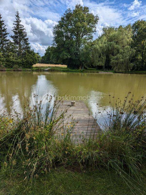 pavillon avec vie de plain pied avec terrain et plan d'eau ! - photo 19