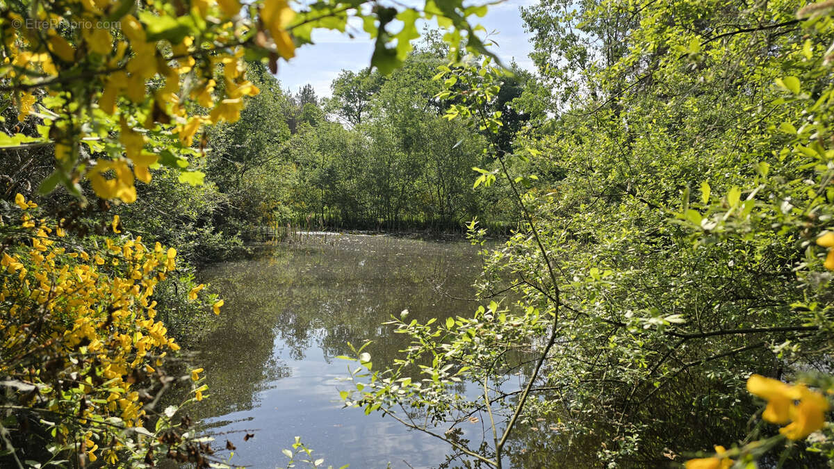 Maison à PRUNIERS-EN-SOLOGNE