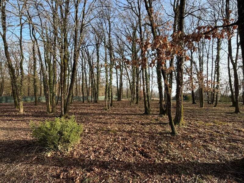 VERRIE, Terrain de 2000m² à bâtir hors lotissement et libre de constructeur - photo 2