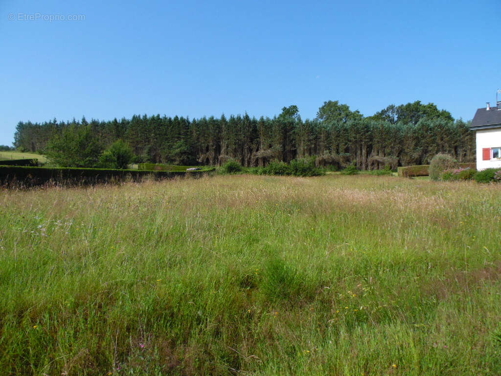 Terrain à REMOMEIX