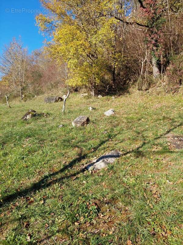 Maison à LE MAS-D'AZIL