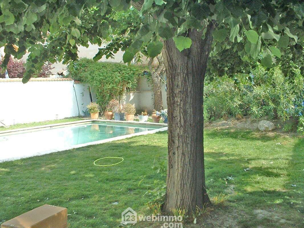 Un petit coin de verdure en plein centre-ville - Maison à AVIGNON