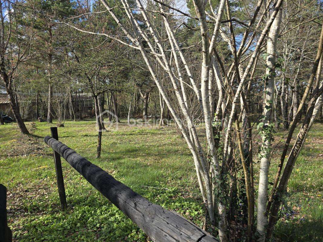 TERRAINS non constructibles au coeur de la nature - photo 11