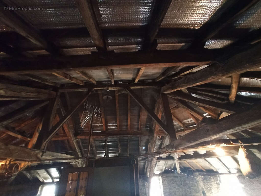 Commerce à SEREILHAC