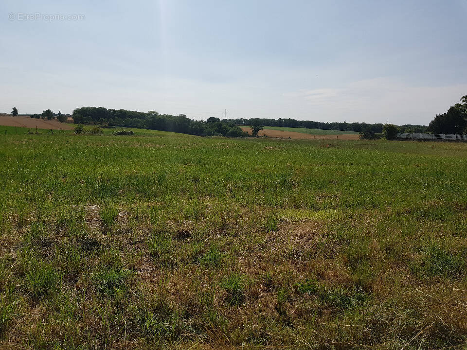Terrain à REUILLY