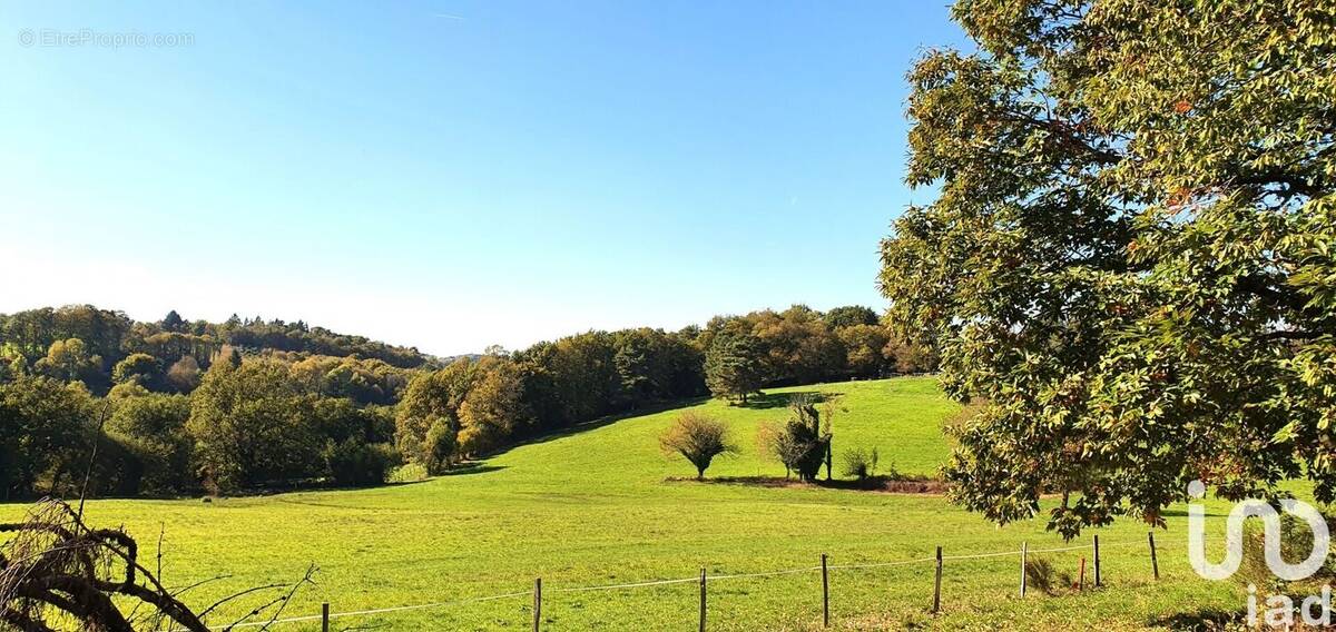 Photo 1 - Terrain à ALBUSSAC