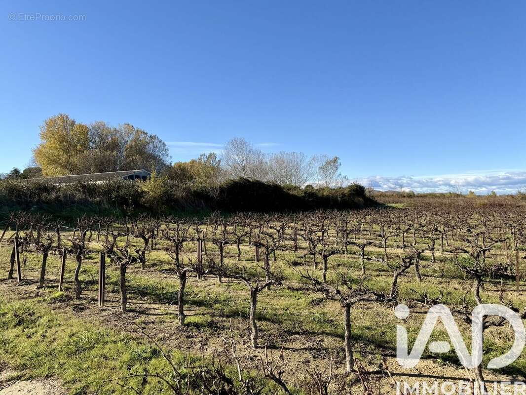 Photo 5 - Terrain à LAUDUN-L'ARDOISE