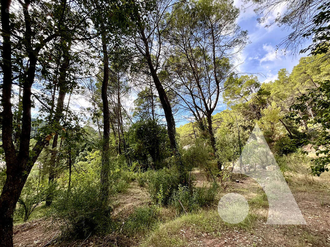 Terrain à SALERNES