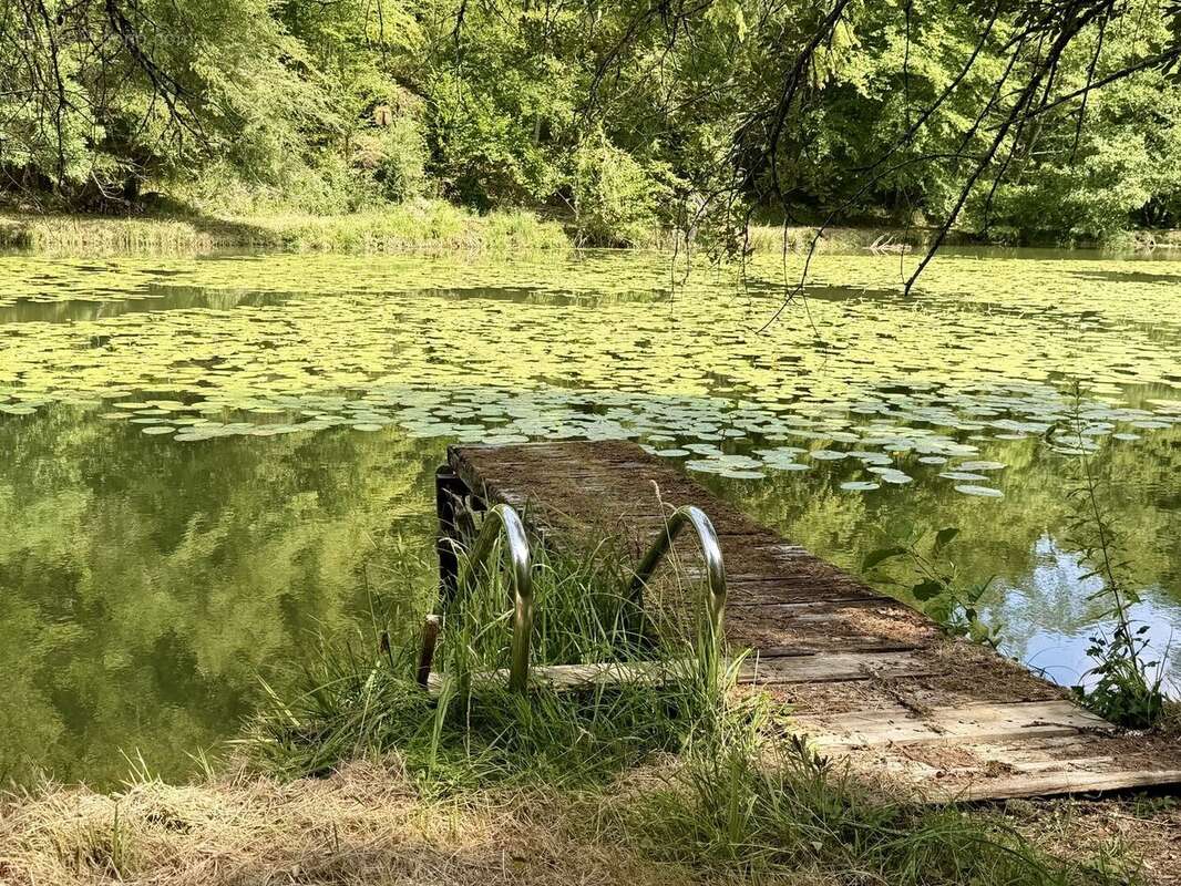 Propriété de caractère ade 20 hectares avec maison principale, maison d'amis, piscine, étang et cadre naturel - photo 5