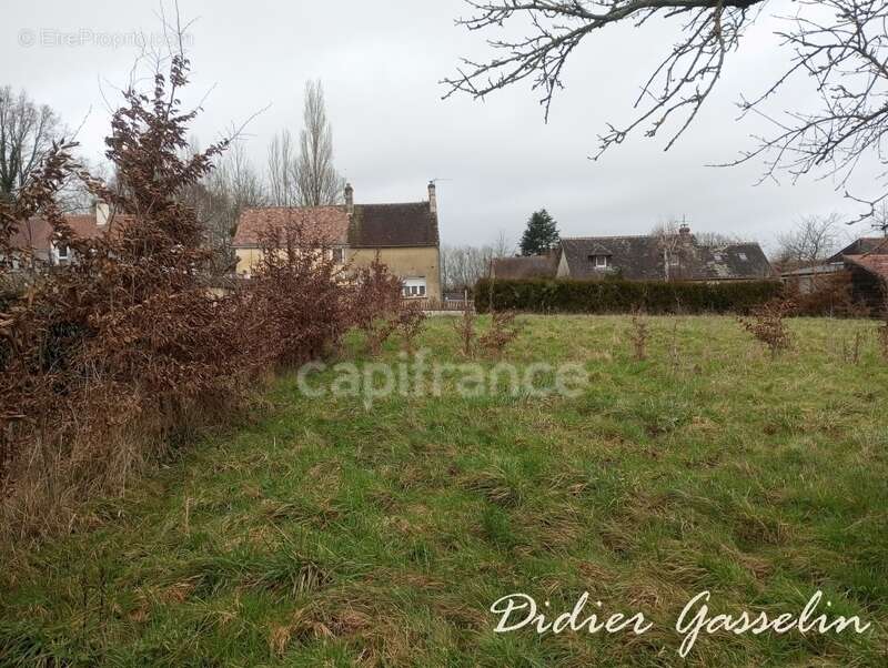 Terrain à vendre  saint hilaire sur erre (61) - photo 4