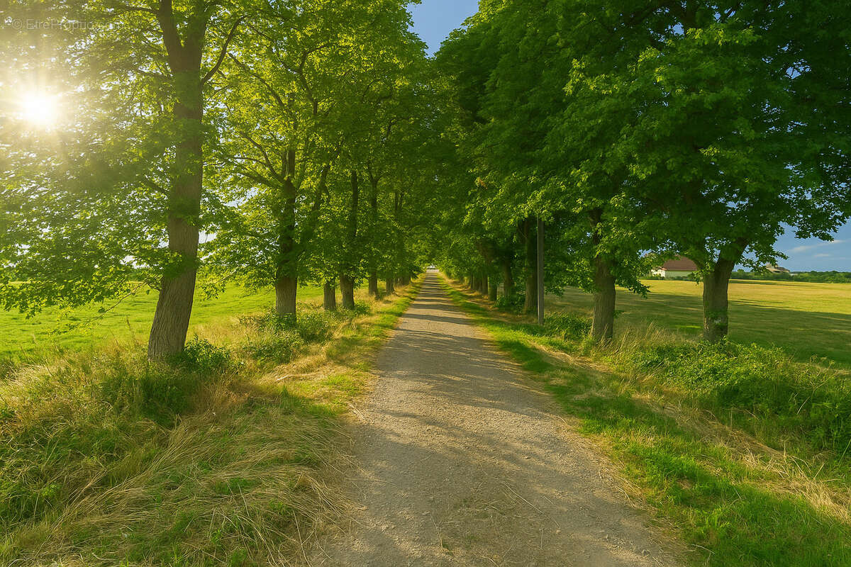 Exploitation agricole d’élevage   108 hectares dans le Boischaut Sud (Indre) - photo 10