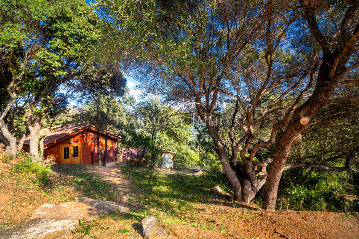 Camping de rêve avec vue mer panoramique en Corse du sud. - photo 5