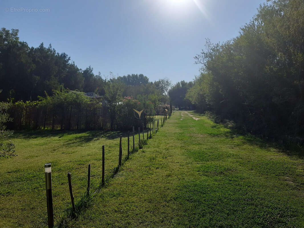 Maison à SAINT-REMY-DE-PROVENCE