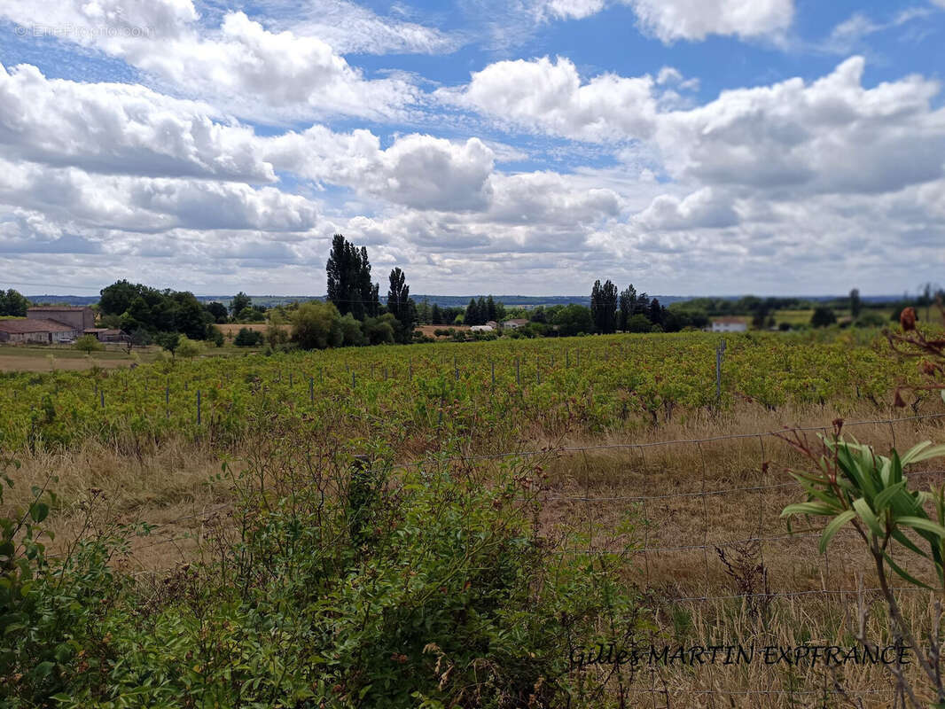 Maison 185 m² à Port-Sainte-Foy-Et-Ponchapt  - photo 4