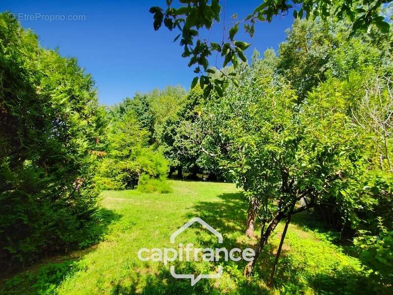 Maison à SAINT-RIMAY