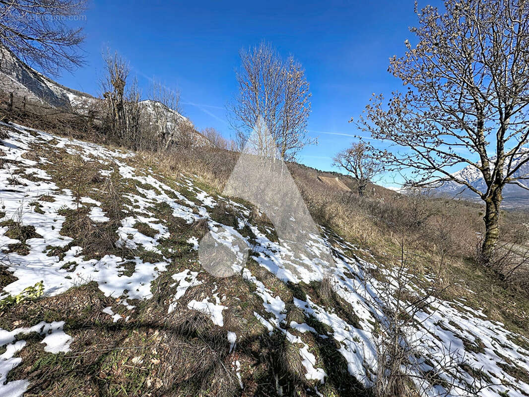 Terrain à LA FARE-EN-CHAMPSAUR