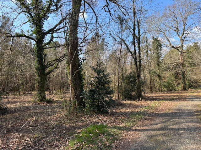 Terrain à SEIGNOSSE