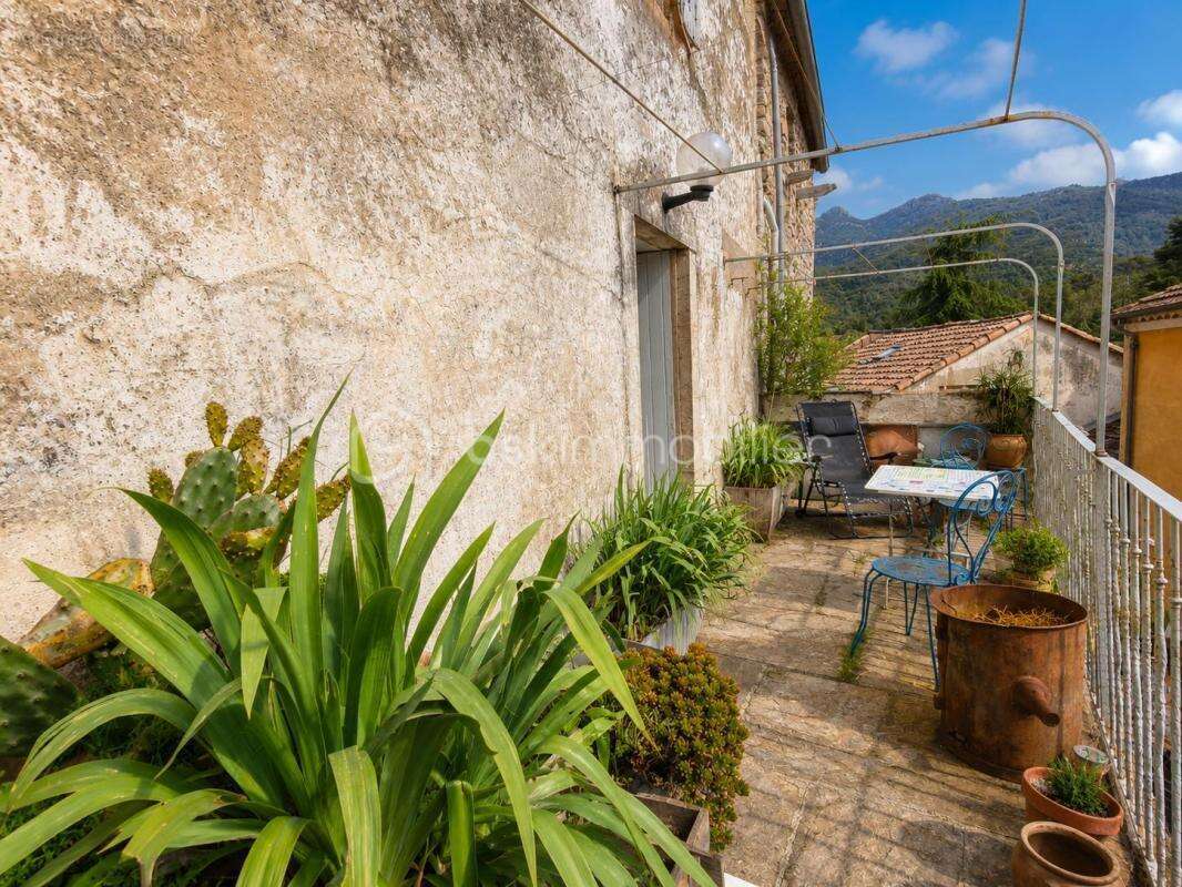 Maison à OLARGUES