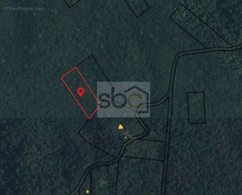 Roura – Terrain constructible 16 361 m² – Lotissement Marguerite - Guyane française - photo 2