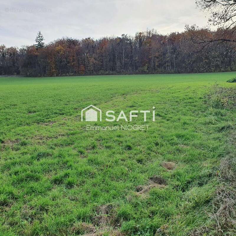 Photo 2 - Terrain à TARSUL