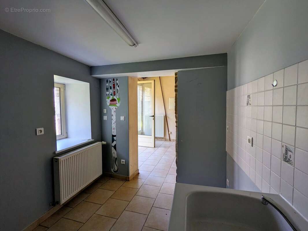 Maison à SAINT-MAURICE-DE-SATONNAY