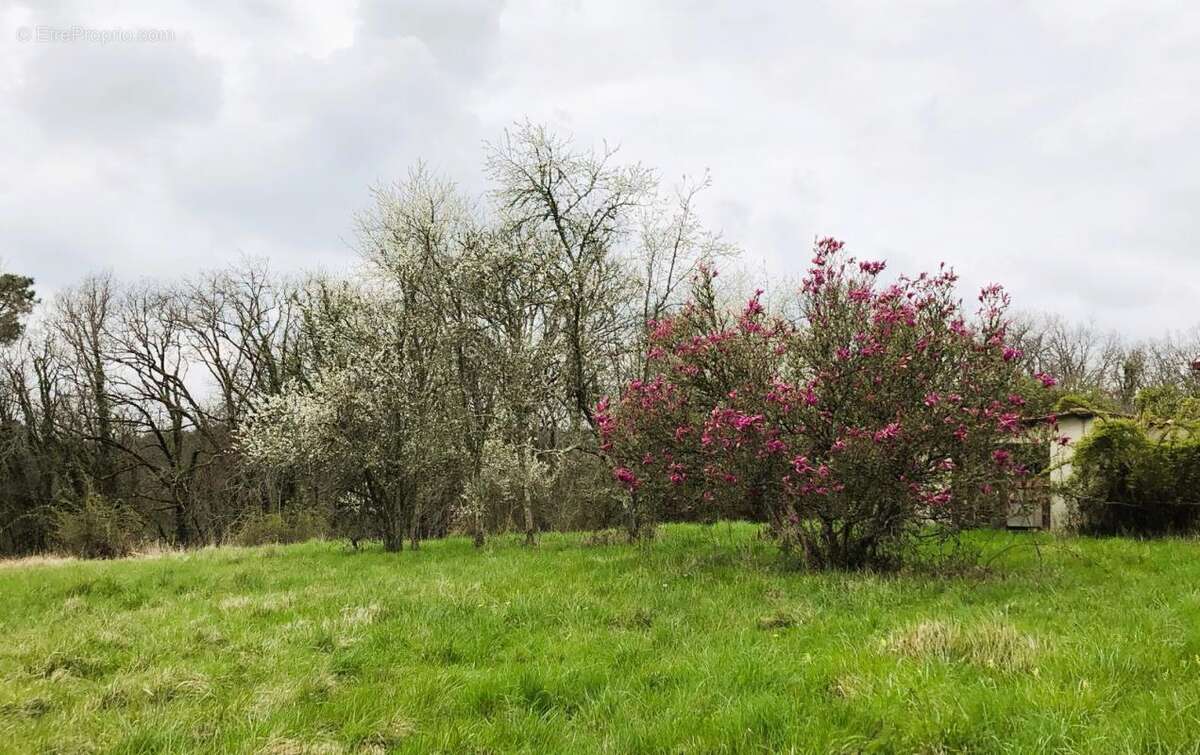 Maison à TOCANE-SAINT-APRE