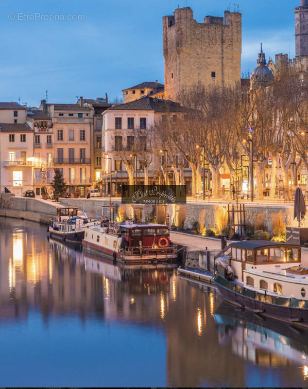 Commerce à NARBONNE