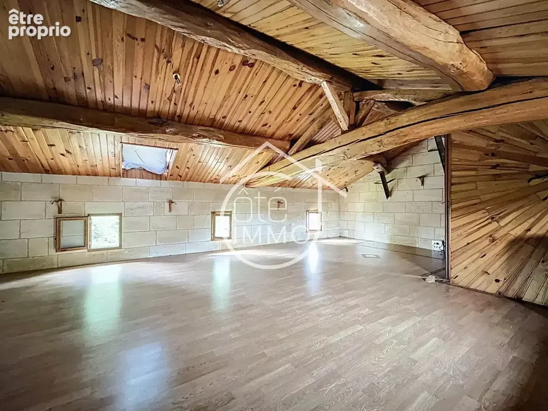Saint Terre : Maison avec accès privatif à la Dordogne - photo 9