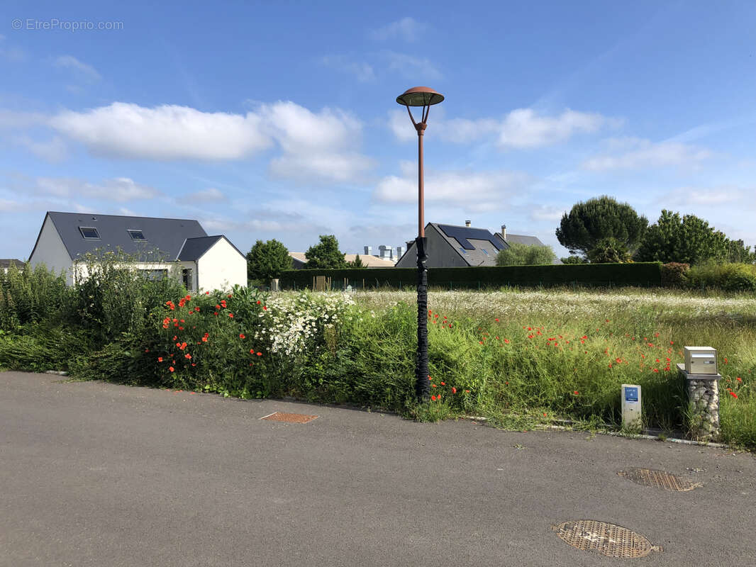 Terrain à AZAY-SUR-CHER