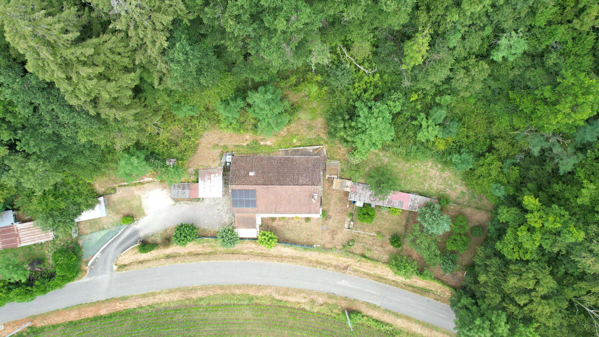 plain pied de 78 m2 sur plus de 6 000m2 de terrain - photo 17