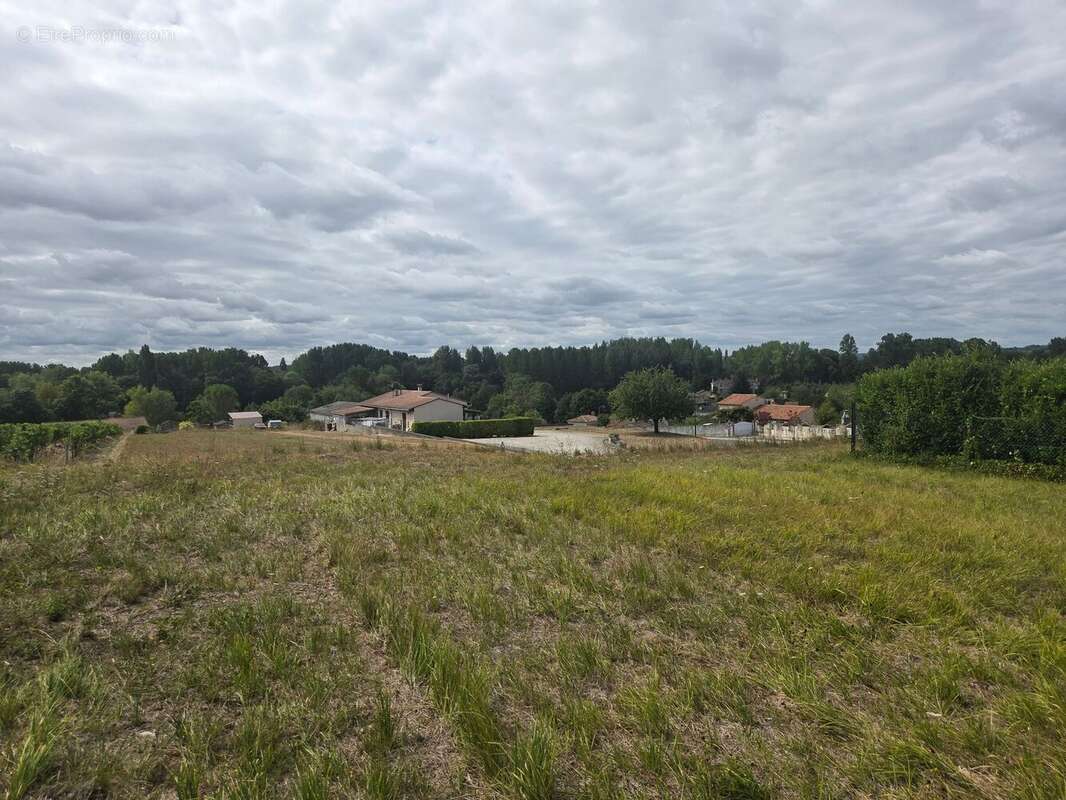 Terrain 1885 m² à Champmillon  - photo 16