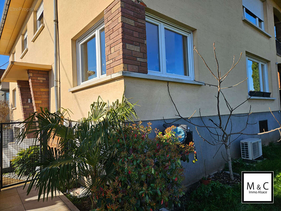 Appartement à WISSEMBOURG