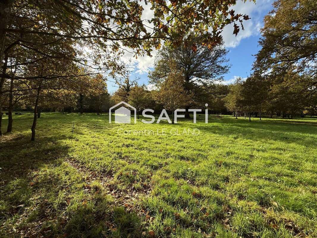 Photo 2 - Maison à SAINTE-ANNE-SUR-BRIVET