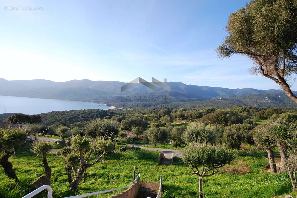 Appartement à SERRA-DI-FERRO