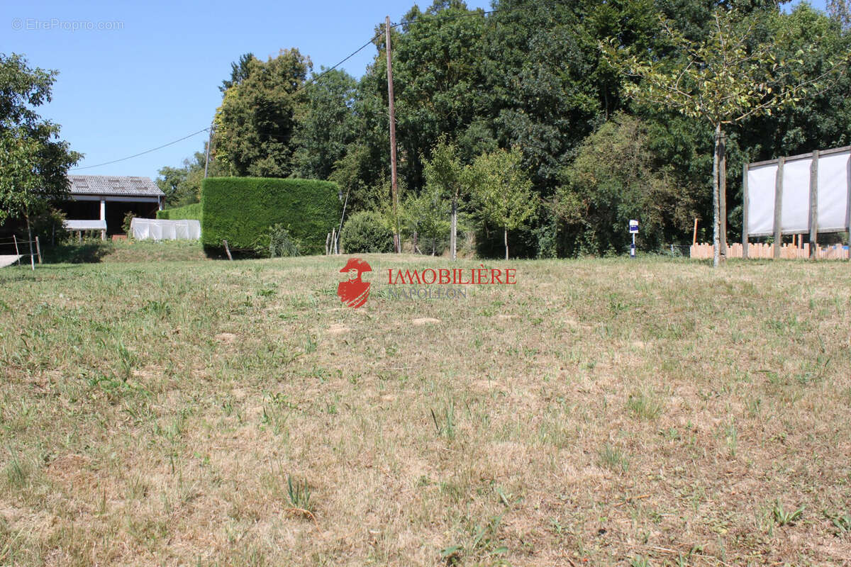 Terrain 507 m² à Saint-Bernard  - photo 9