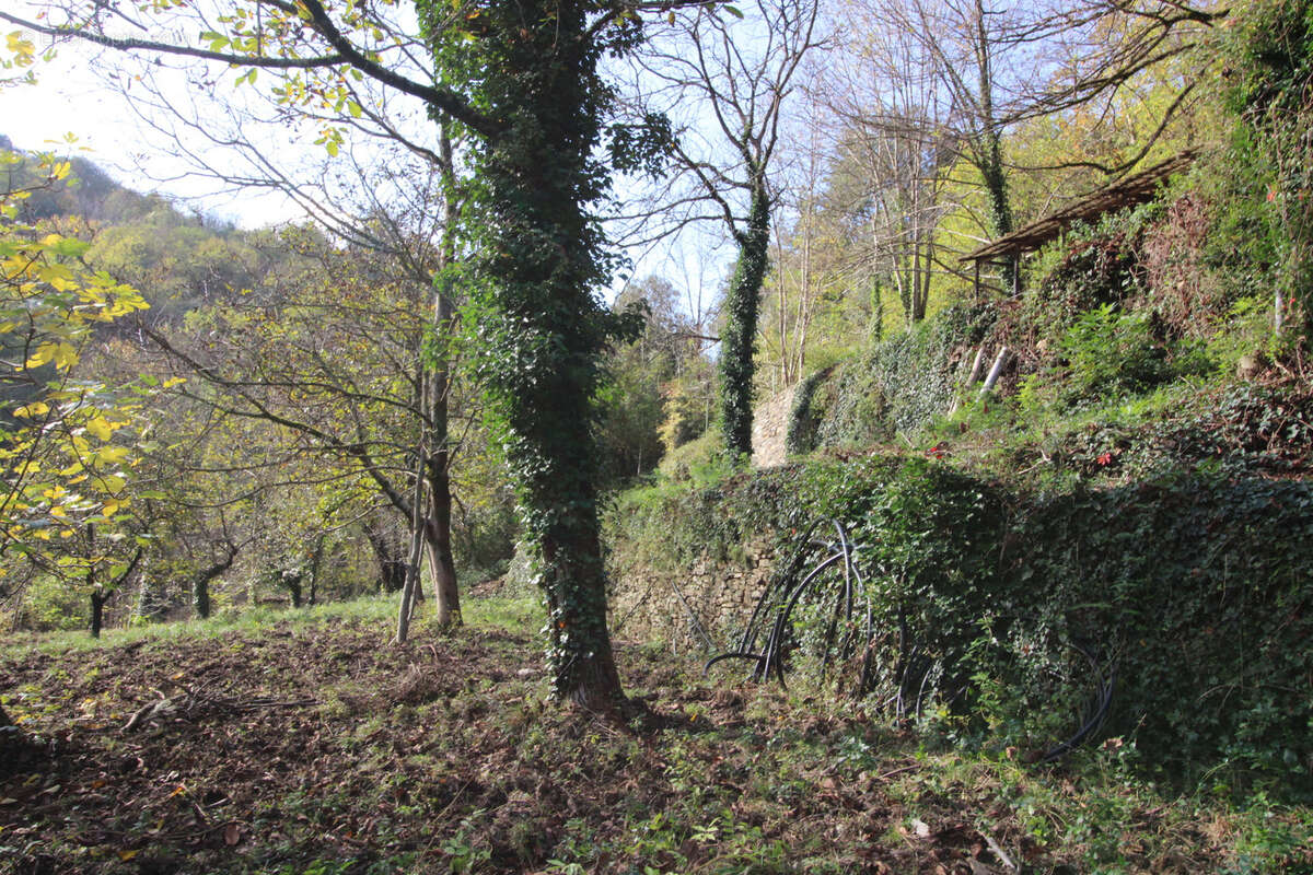 Maison à LES PLANTIERS