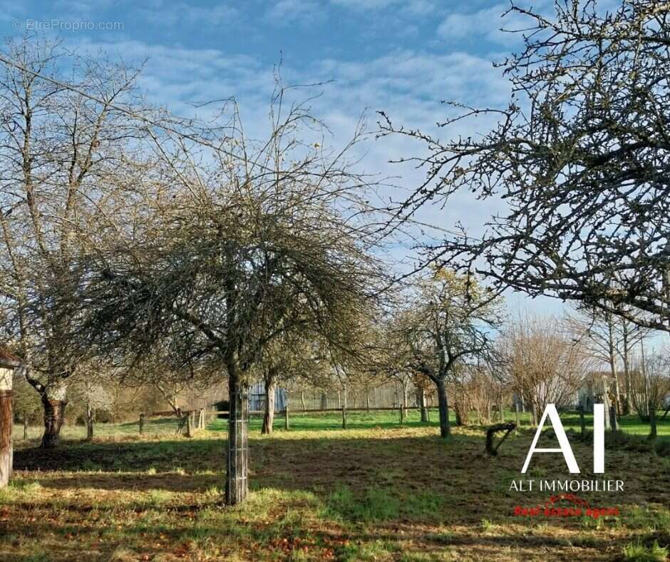 Terrain à LA LANDE-DE-LOUGE