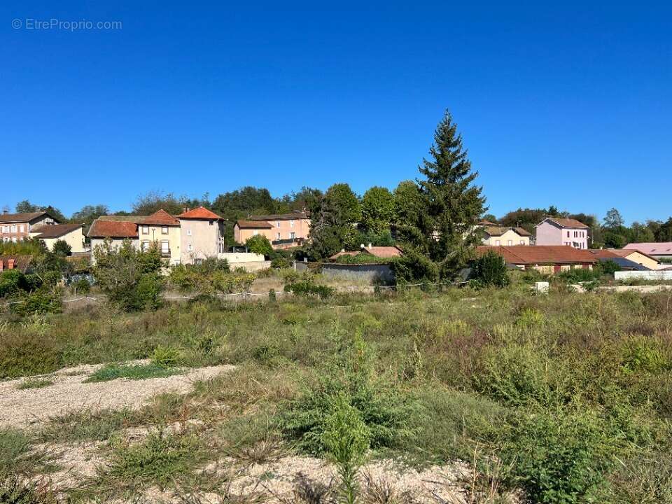 Terrain à CHALAMONT