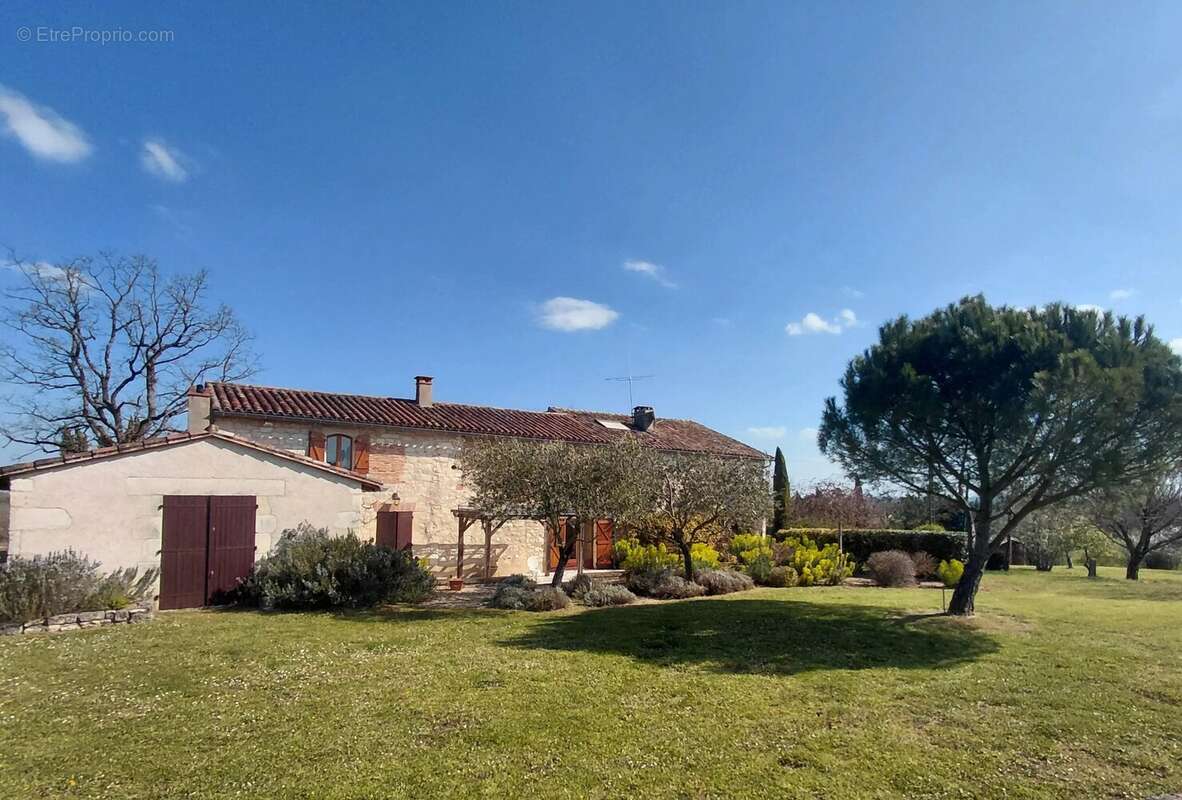 Maison à CORDES-SUR-CIEL
