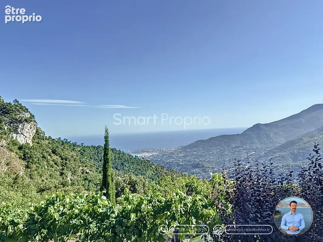 Domaine paradisiaque unique 5 hectars  au calme exceptionnel  - maison autonome 4p - vue dégagée mer - photo 35