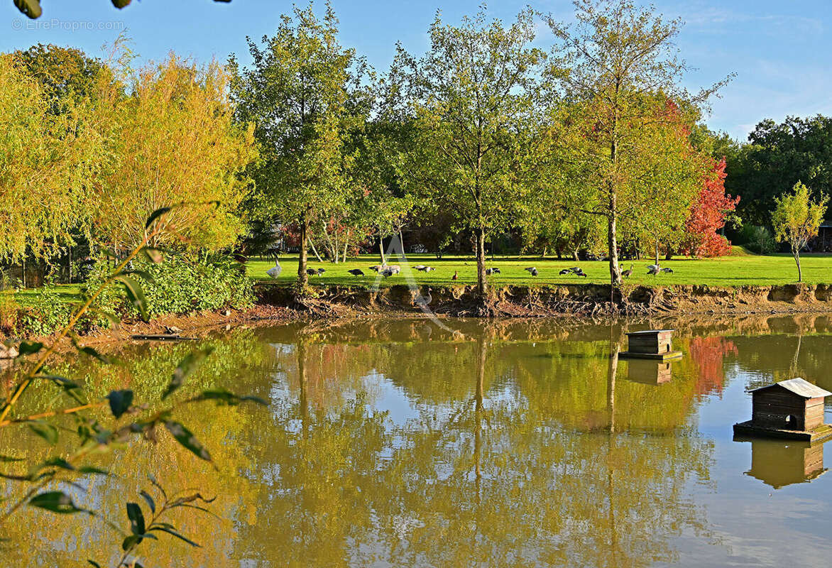 Terrain à LES SABLES-D&#039;OLONNE