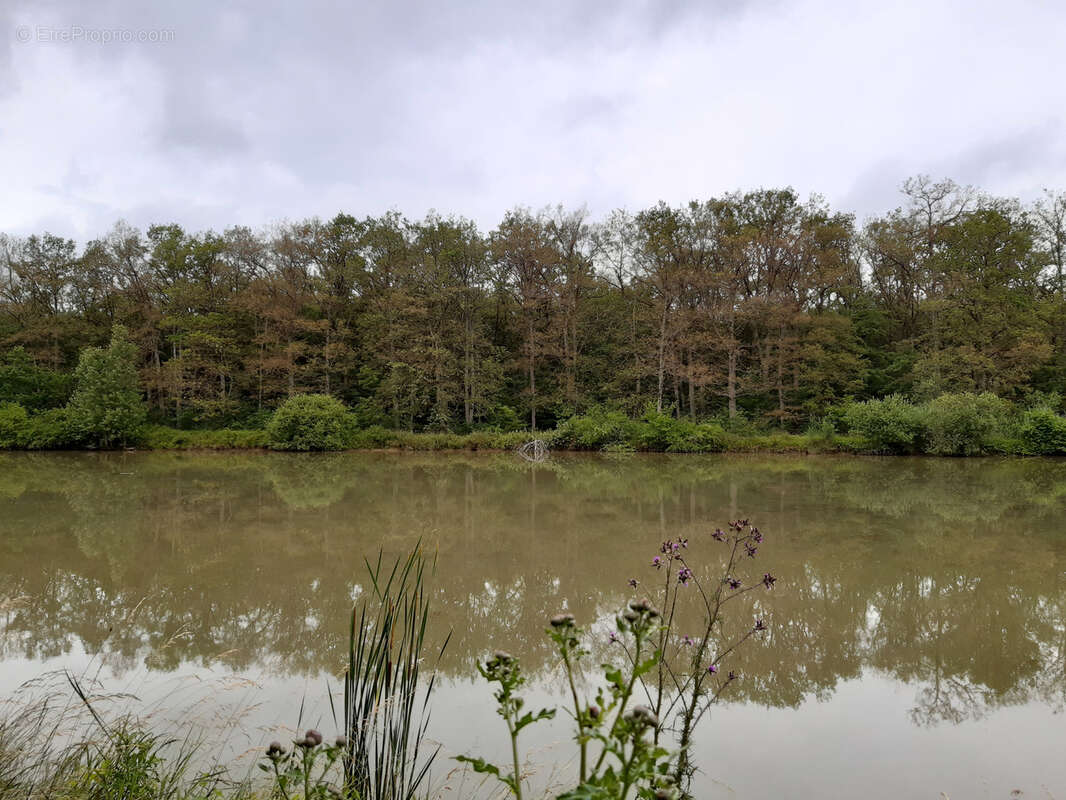 Terrain à TOUL