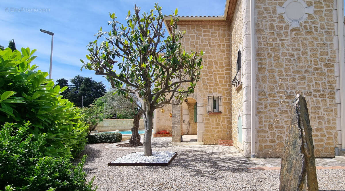 Maison à MONTPELLIER