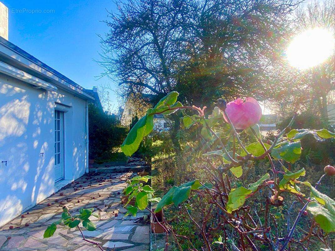 Maison à SAINTE-LUCE-SUR-LOIRE