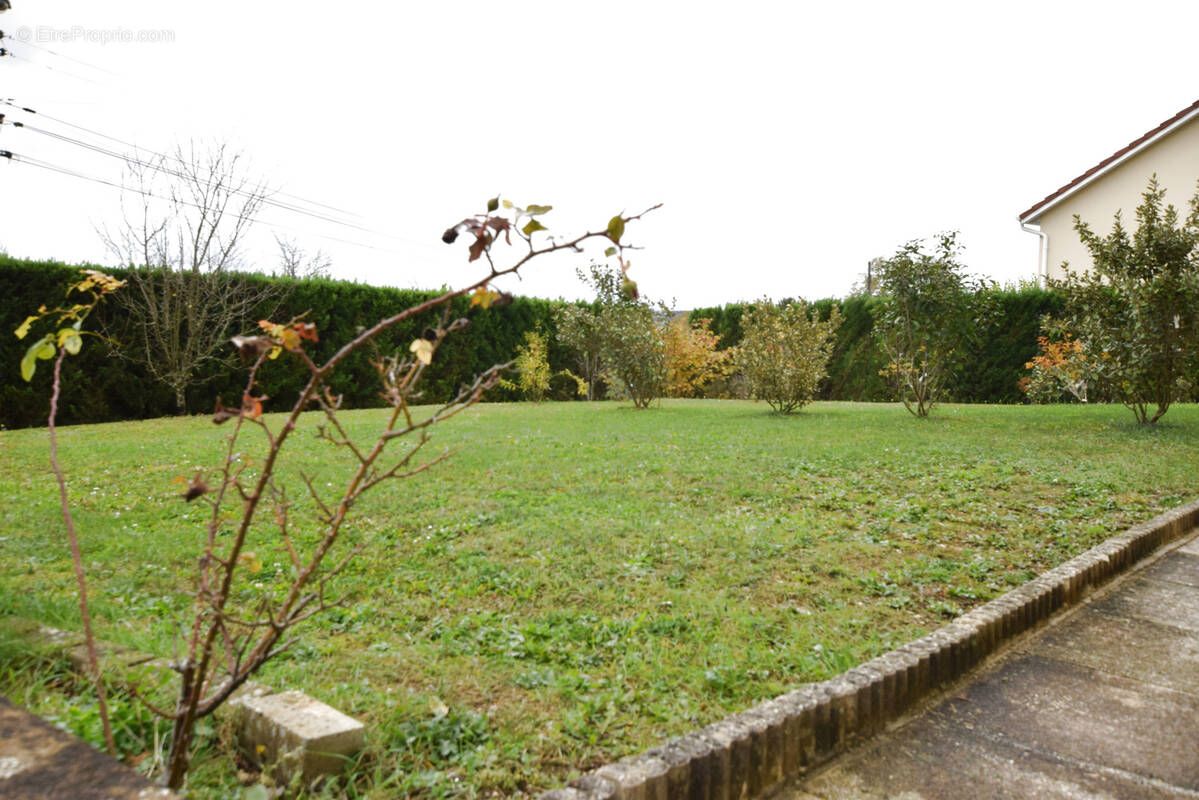 Appartement à TAILLECOURT
