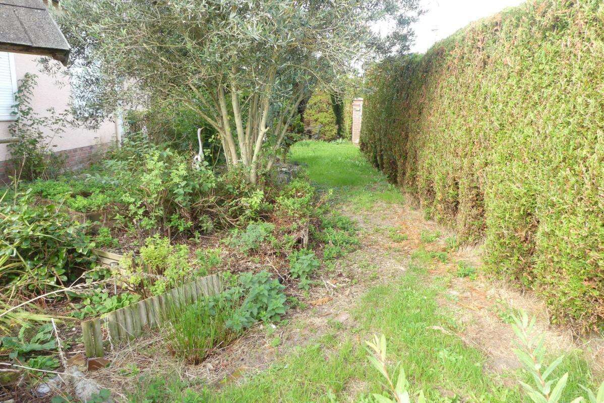 Cambron : maison 115 m², 4 Chb, jardin - photo 6