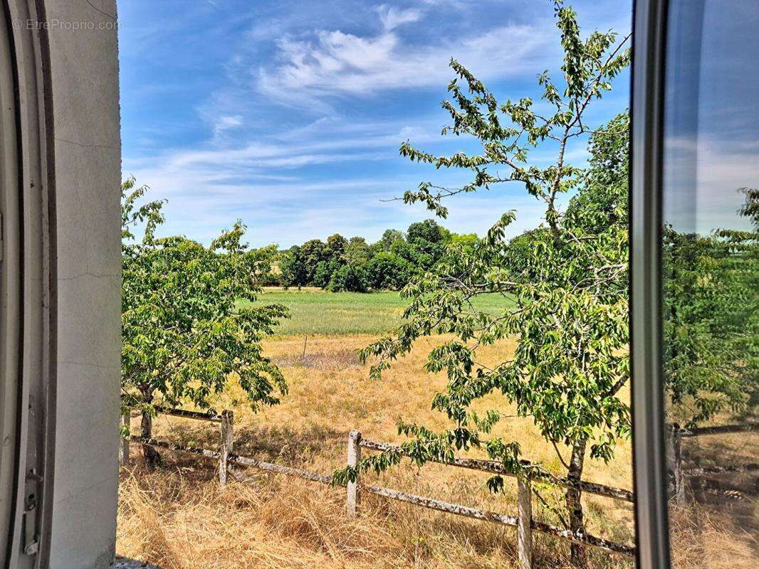 Un domaine de 11,6 hectares aux portes d'Avord - photo 11