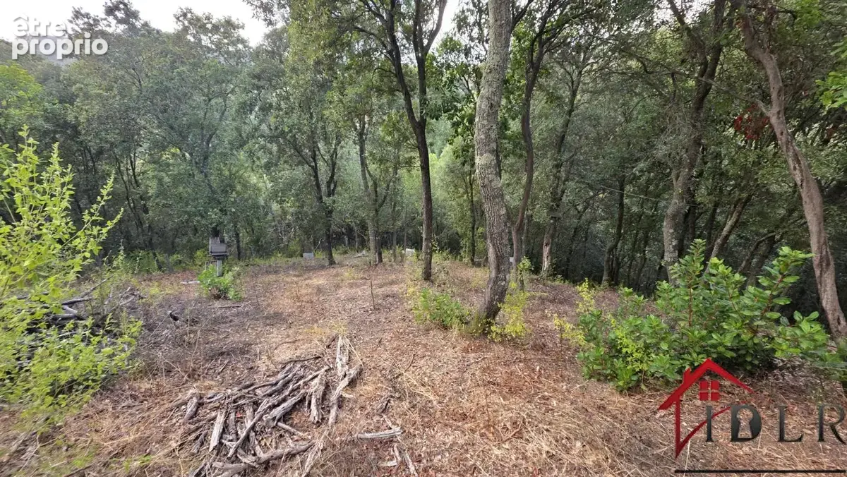 Terrain à batir arboré de 1500 m2  à ALATA - photo 3