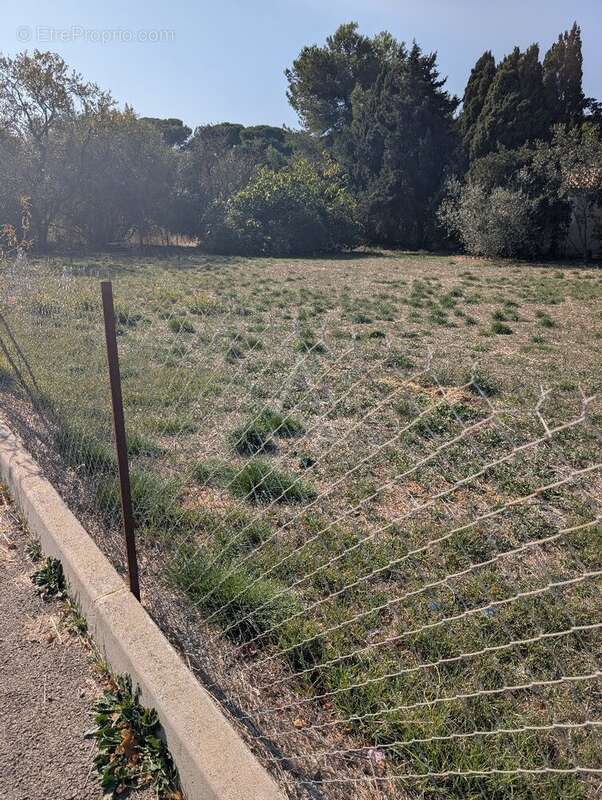 Terrain à SALLELES-D'AUDE