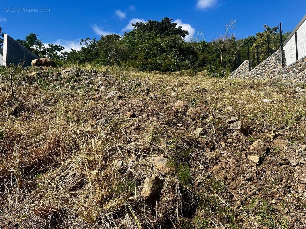 Terrain à SAINT-PAUL